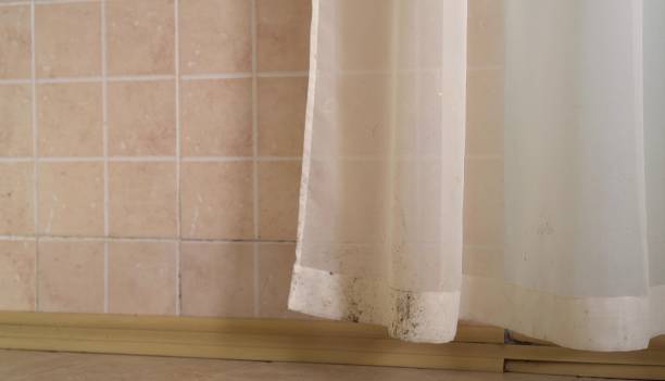 Best Water Damage & Mold Remediation  in Muskegon Heights, MI