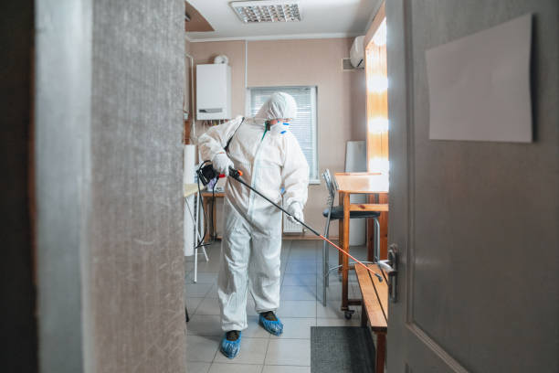 Best Mold-Related Health Consultation  in Muskegon Heights, MI