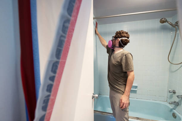Professional Mold Removal in Muskegon Heights, MI