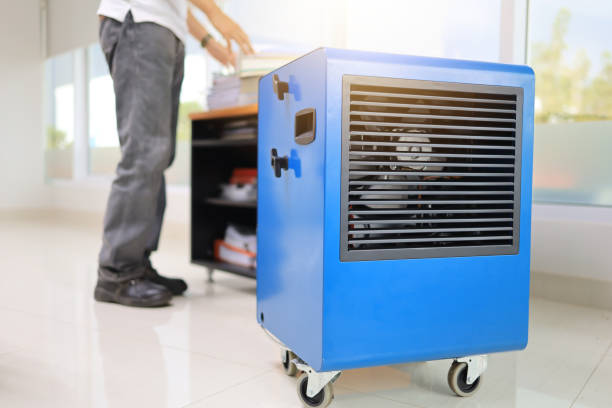 Best Comprehensive Air Testing for Mold Contaminants  in Muskegon Heights, MI