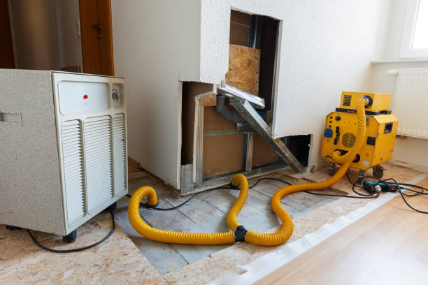 Best Mold Remediation for Healthcare Facilities  in Muskegon Heights, MI