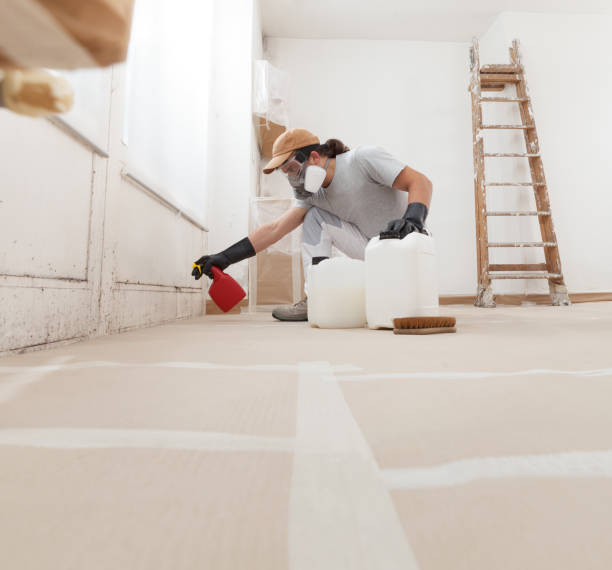Mold Remediation for Vacation Homes in Muskegon Heights, MI