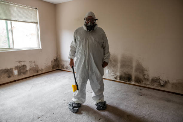 Best Residential Mold Inspection & Testing  in Muskegon Heights, MI