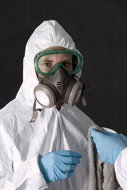 Best Mold Damage Restoration  in Muskegon Heights, MI